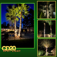 Outdoor Landscape Lighting LED 12V Low Voltage CD20 20W AC12V Low Voltage Ground LED Aluminum Spotlight Waterproof Outdoor Fixture
