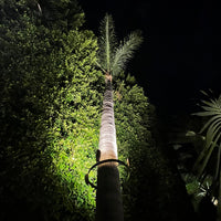 Outdoor Landscape Lighting LED 12V Low Voltage TRA01 Palm Tree Mounting Ring Light Bracket Landscape Lighting Accessory Light Fixture Mount