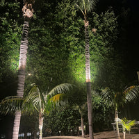 Outdoor Landscape Lighting LED 12V Low Voltage TRA01 Palm Tree Mounting Ring Light Bracket Landscape Lighting Accessory Light Fixture Mount