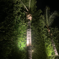 Outdoor Landscape Lighting LED 12V Low Voltage TRA01 Palm Tree Mounting Ring Light Bracket Landscape Lighting Accessory Light Fixture Mount