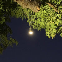 Outdoor Landscape Lighting LED 12V Low Voltage HLB01 4x/8x/12x Package 12V LED Low Voltage Brass Cylinder Pendant Light Hanging Downlight Fixture with 5W 3000K Bulb