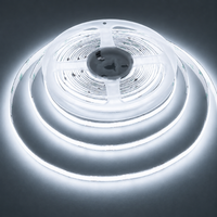 Outdoor Landscape Lighting LED 12V Low Voltage SLD12 DC12V 16ft IP20 320LED/M Dotless Single Color Linear 3.1W/ft for 8mm LED Strip Lights Low Voltage FCOB DC12V Tape Light 6500K Cool White