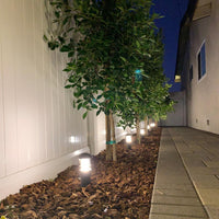 Outdoor Landscape Lighting LED 12V Low Voltage CDPA55 3W 12V Low Voltage 3000K Warm White Integrated LED Garden Bollard Aluminum Path Light