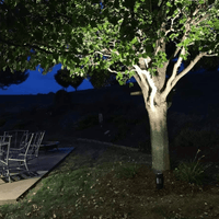 Outdoor Landscape Lighting LED 12V Low Voltage CDRA12 4x/8x/12x Package 12W 12V Low Voltage Smart Bluetooth RGBW Narrow Beam Directional Outdoor Landscape Aluminum Spotlight with Remote Control