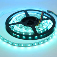 Outdoor Landscape Lighting LED 12V Low Voltage SL05 Strip Light RGB 5050 4.8W/ft 10mm DC12V Low Voltage LED Outdoor IP65 UL SMD Tape Light