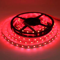 Outdoor Landscape Lighting LED 12V Low Voltage SL05 Strip Light RGB 5050 4.8W/ft 10mm DC12V Low Voltage LED Outdoor IP65 UL SMD Tape Light