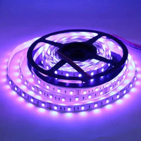Outdoor Landscape Lighting LED 12V Low Voltage SL05 Strip Light RGB 5050 4.8W/ft 10mm DC12V Low Voltage LED Outdoor IP65 UL SMD Tape Light