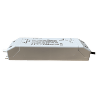 Outdoor Landscape Lighting LED 12V Low Voltage DC Power Supply Landscape Lighting Transformer Electronic Driver with Adapter