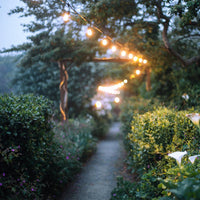 Outdoor Landscape Lighting LED 12V Low Voltage SL103 2800K Warm White LED Low Voltage Bistro String Lights 50 FT Outdoor Weatherproof 10pcs Connect Anywhere 12V Edison Bulbs